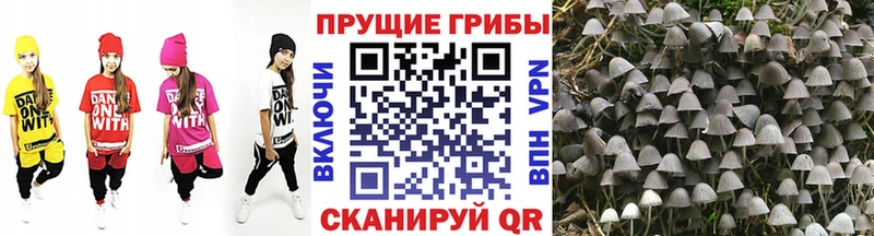 Галлюциногенные грибы GOLDEN TEACHER Городище