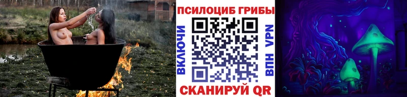 Псилоцибиновые грибы Magic Shrooms  omg tor  Городище  закладки 
